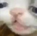 odin_668