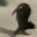 runfast