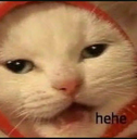 :hehecat: