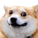 dogyikes