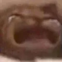 CryCat