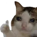 LCuCatCrying