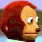 monkey_awkward_look