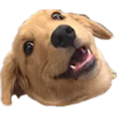 wowee wowee