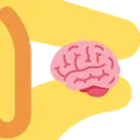SmolBrain