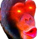 HyperApe