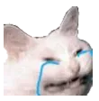 emoji_80