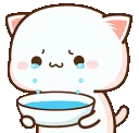 mochicat_cry