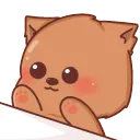 bongo