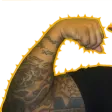ARM1 ARM1
