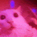 catleft Discord Emoji