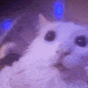 catright Discord Emoji