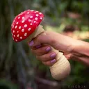 PeachisaddictedtoShrooms Discord Emoji