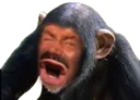 KekMonkey