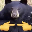 bearshy