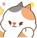 qqtcwht_cutekitty3