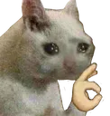 cryingcatok