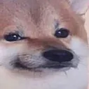 smugdog smugdog