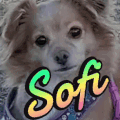 sofi