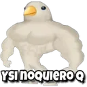 ysinoquieroq ysinoquieroq