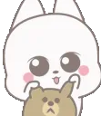 z_kittyplay z_kittyplay