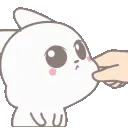 z_kittypinch