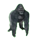 spinningGorilla spinningGorilla