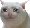 crycat