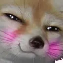 jinko_SusCute
