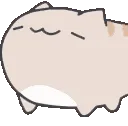 a_CatNod