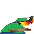 borpaWICKED