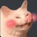 cat_blush