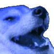 as_lollllll as_lollllll