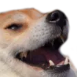 as_nobda as_nobda