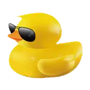 ducksunglasses