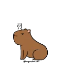 Capybara