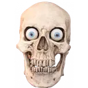 skull