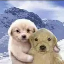 Doghug