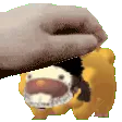 PetTheDoof