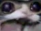 aaaaaaaaaaaaaaaaaaaaaaaaaaaaaaaa