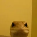 creeping