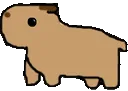 capybara2 capybara2