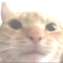 w_