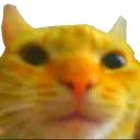 tim