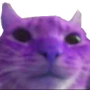 v_