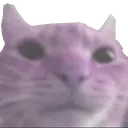 p_