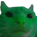 g_