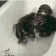 monkeyyy