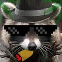 Cool_Coon