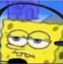 spongereally